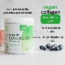 Purasana Collagen Booster Blueberry 240gr
